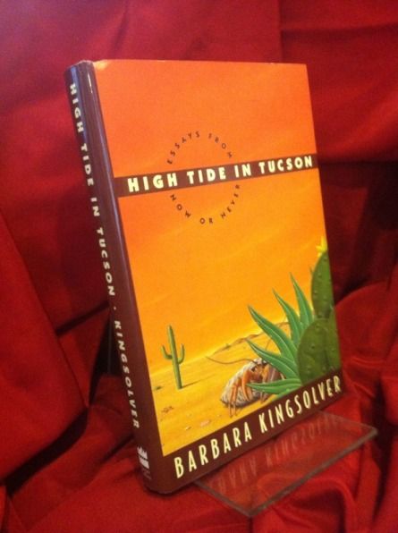 Image for High Tide in Tucson: Essays From Now Or Never