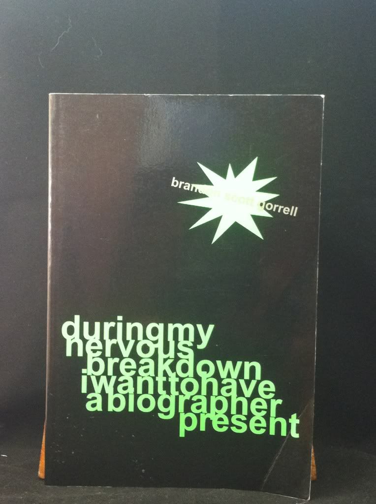 Image for During My Nervous Breakdown I Want To Have a Biographer Present