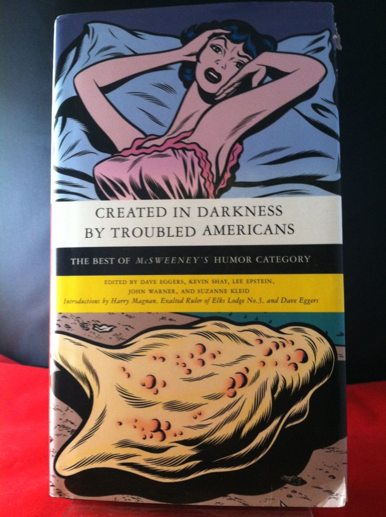 Image for Created in Darkness by Troubled Americans: The Best of McSweeney's, Humor Category