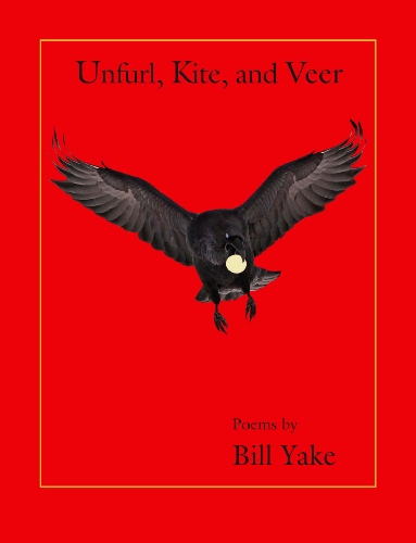 Image for Unfurl, Kite, and Veer