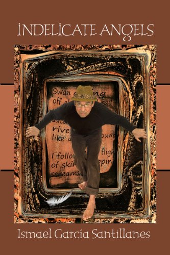 Image for Indelicate Angels