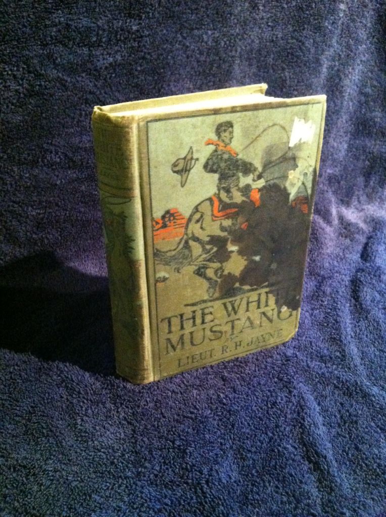 Image for White Mustang, a Tale of the Lone Star State