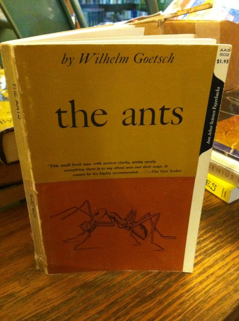 Image for The Ants