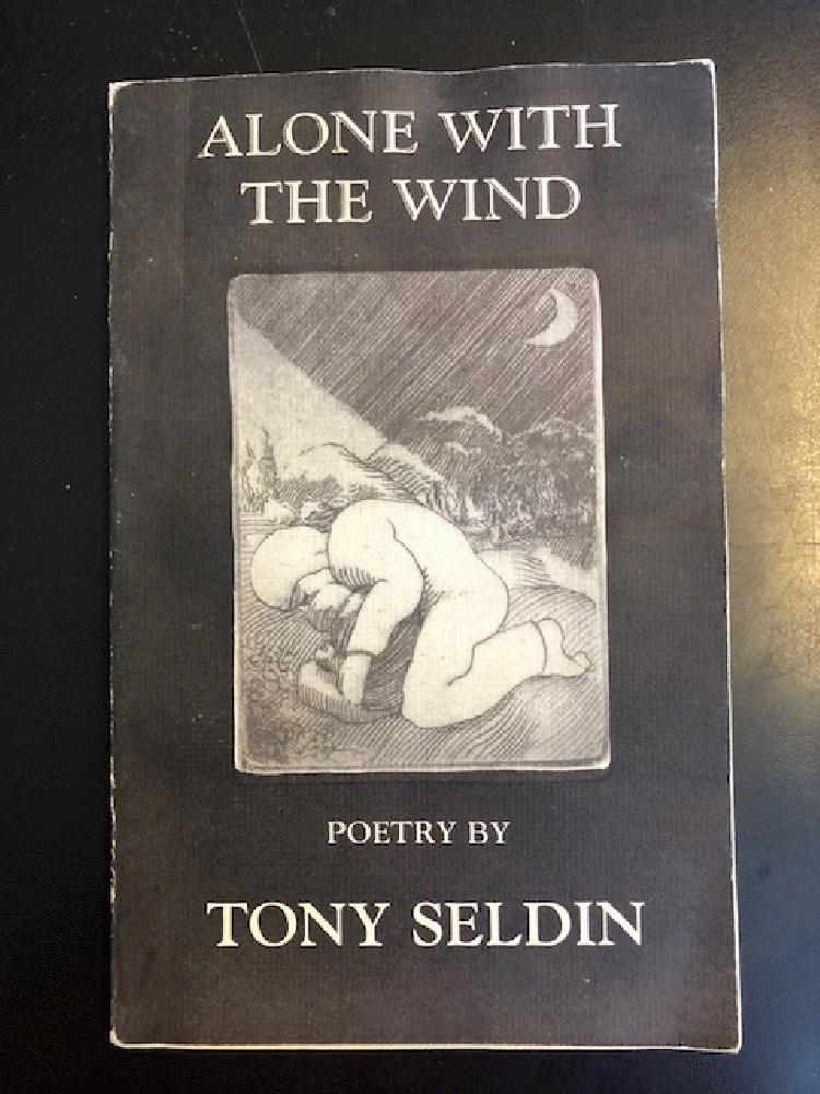 Image for Alone with the Wind