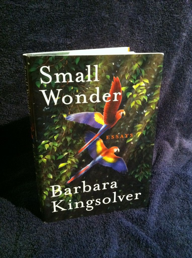 Image for Small Wonder: Essays
