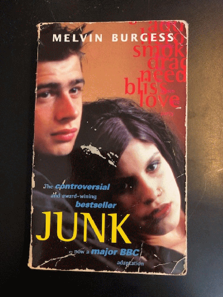 Image for Junk Tie In (Puffin Teenage Fiction)