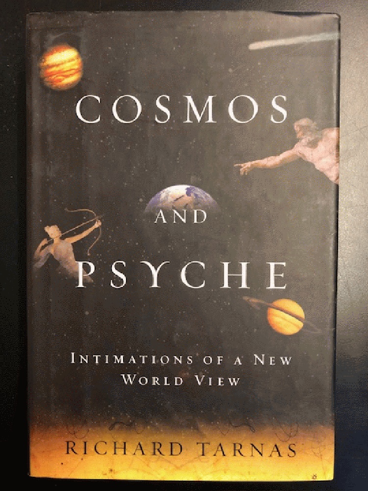 Image for Cosmos and Psyche: Intimations of a New World View