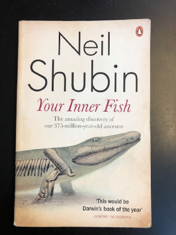 Image for Your Inner Fish: The Amazing Discovery of Our 375-Million-Year-Old Ancestor