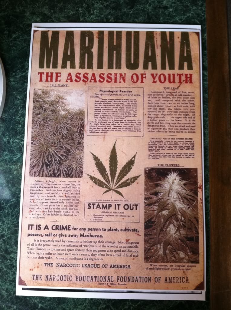Image for Marihuana Assassin of Youth Anti Drug Poster