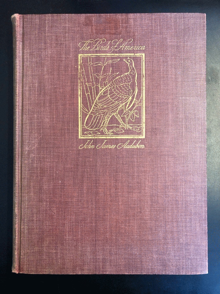 Image for The Birds of America