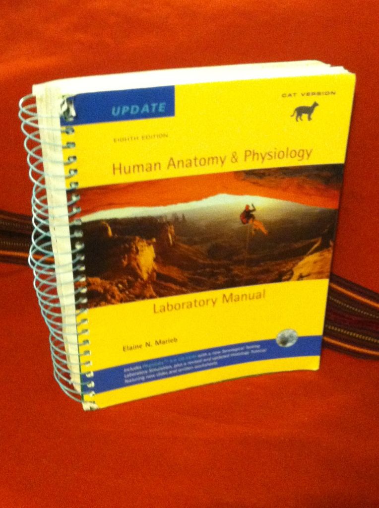 Image for Human Anatomy & Physiology Laboratory Manual