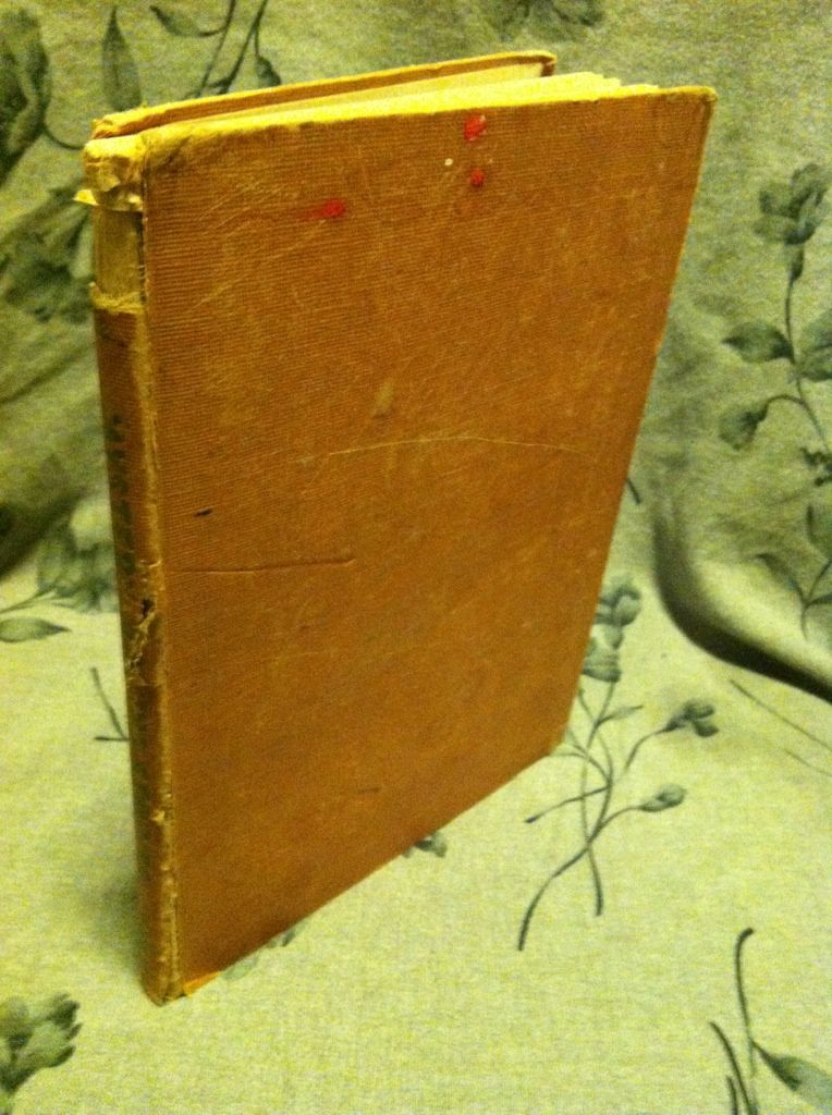 Image for mystery nature stories