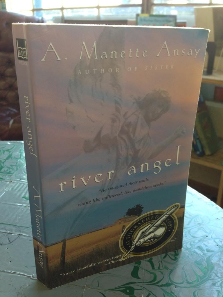 Image for River Angel: A Novel