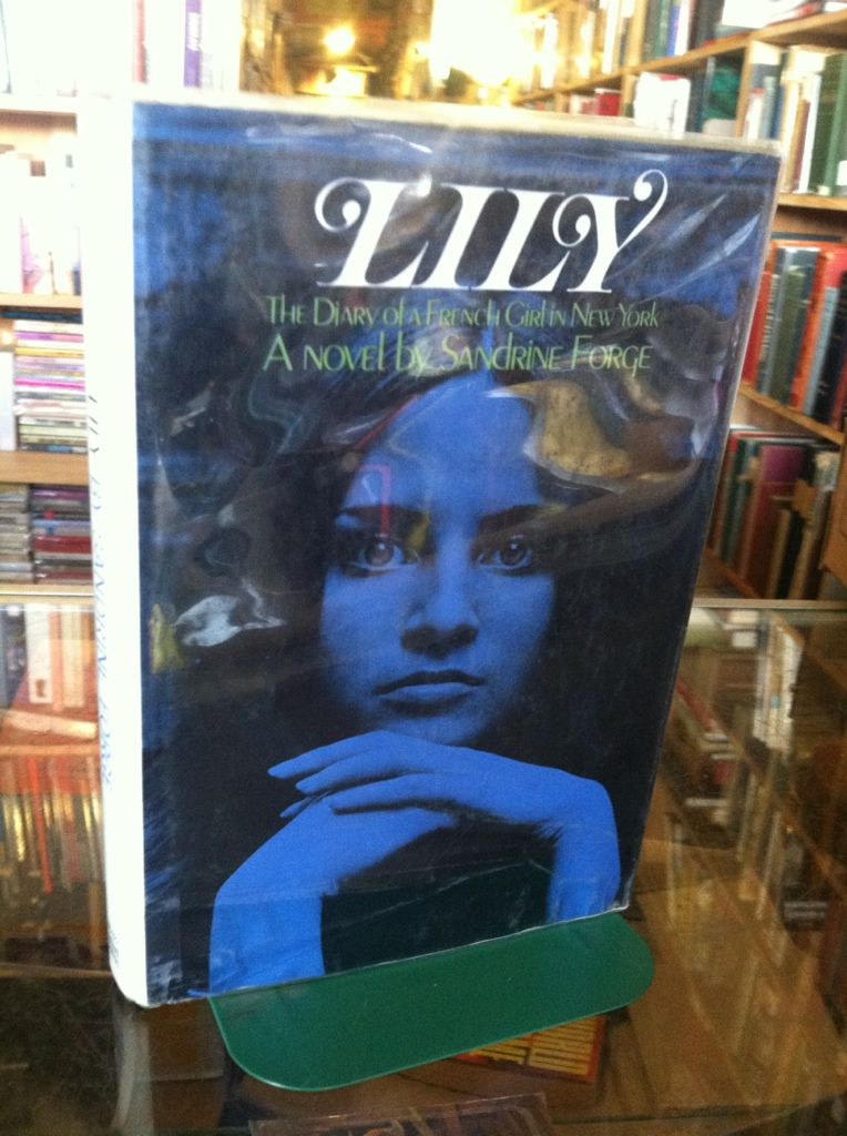 Image for Lily; the diary of a French girl in New York